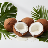 Coconut