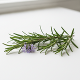 Rosemary