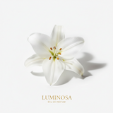 White lily